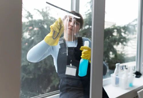 Nettoyage de vitres intérieures et extérieures à Saint-Jean-d'Aubrigoux